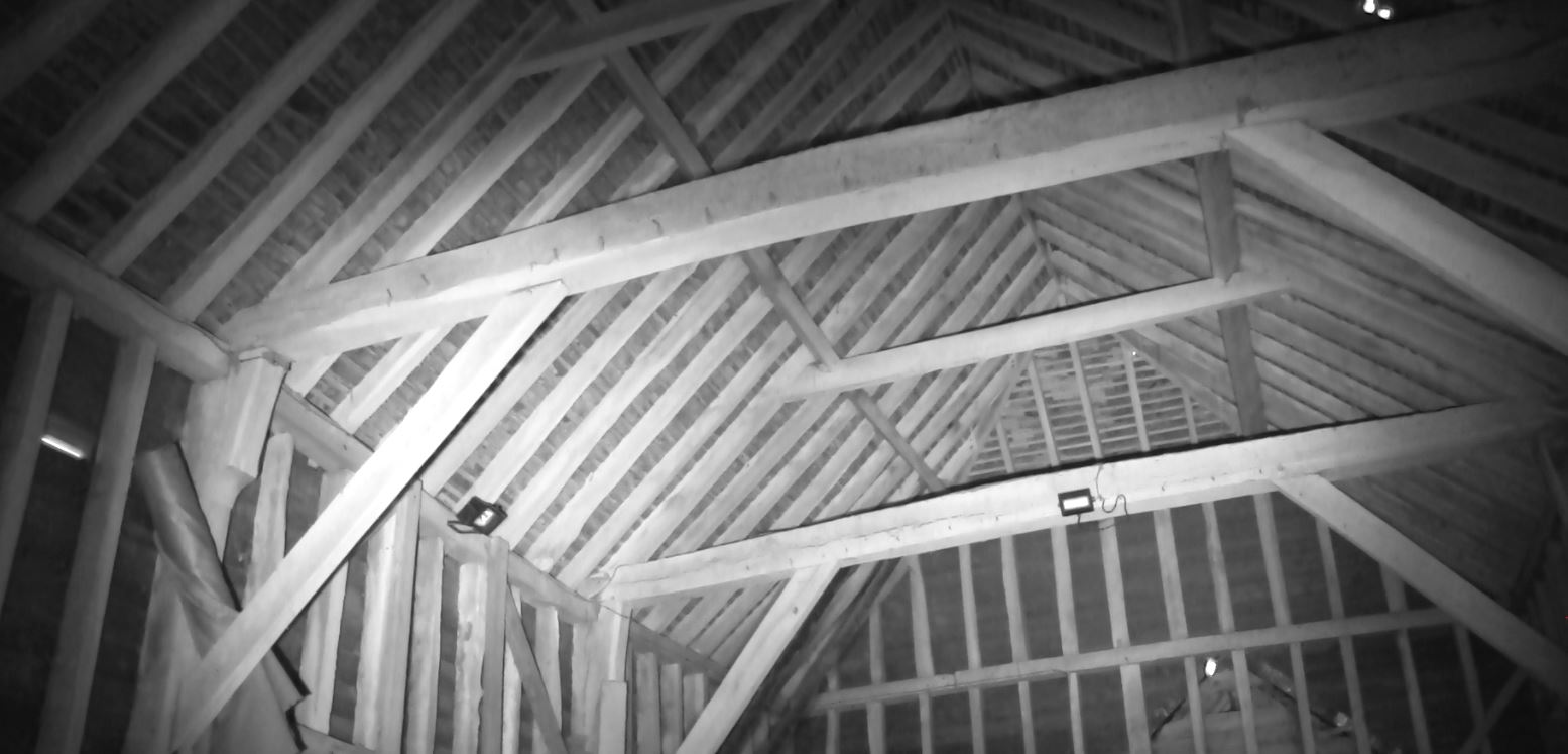 Infra Red Bat Survey