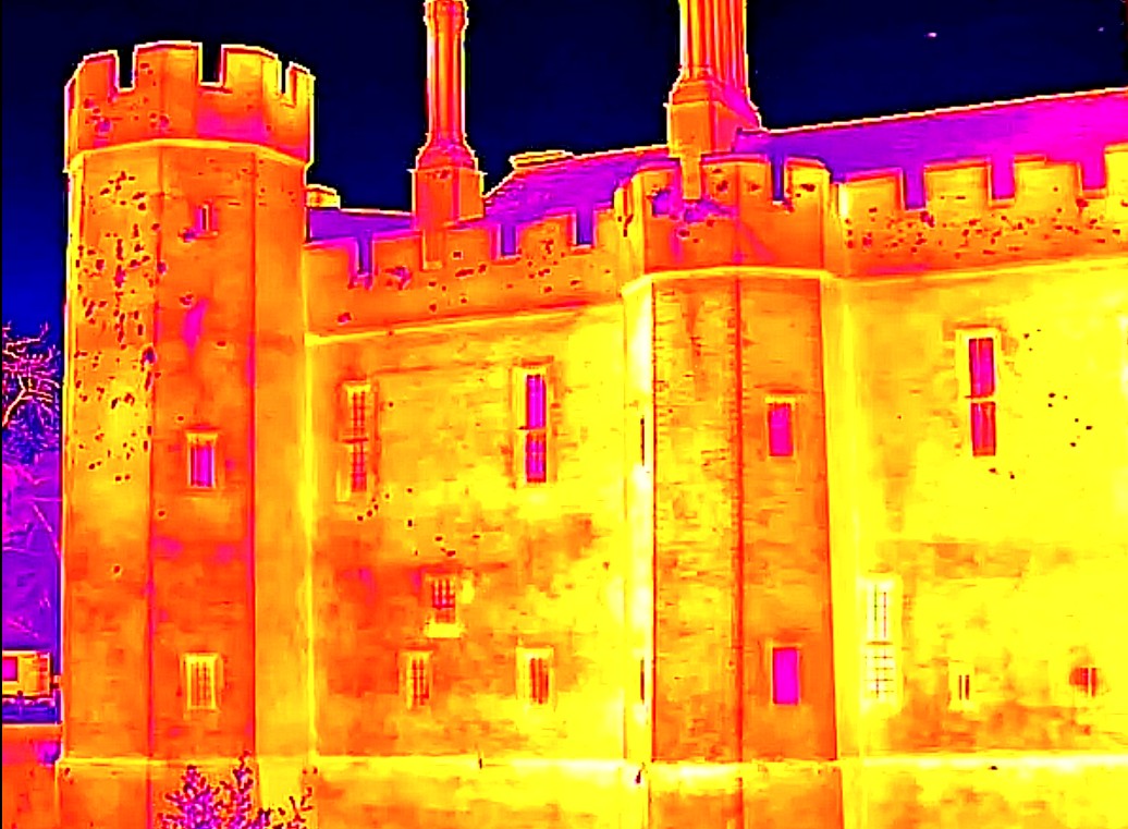 Thermal Camera Bat Survey